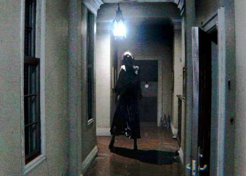 P.T 800x574 1